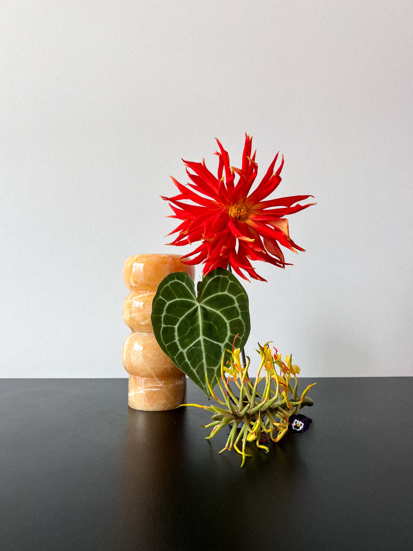 Nubium Vase